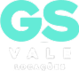 logo-gs